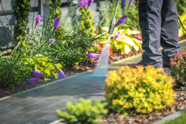 Best Winterizing Services  in Brookmont, MD